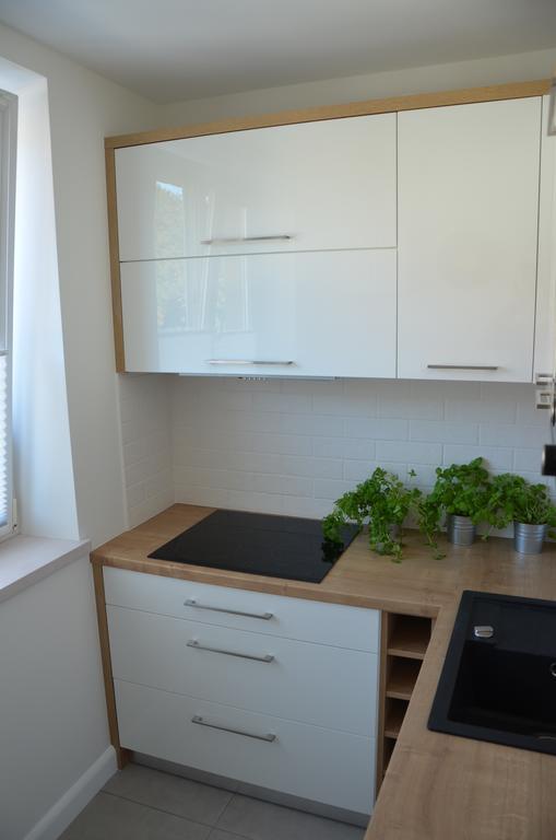 Na Starowce Grobla I Leilighet